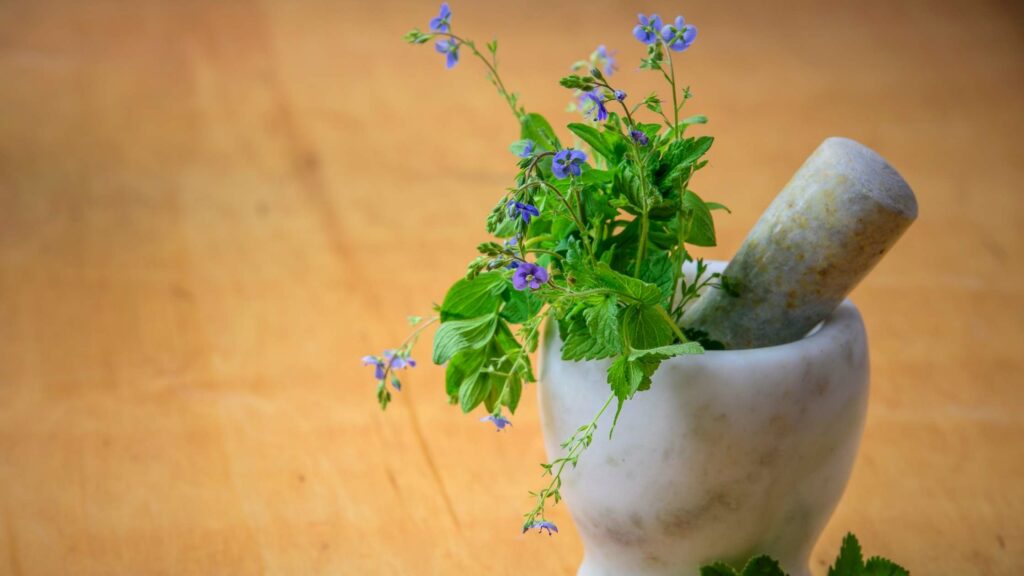 nature to health